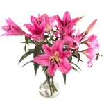 Fiori