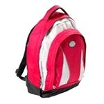 Zaini