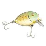 Pesca e caccia