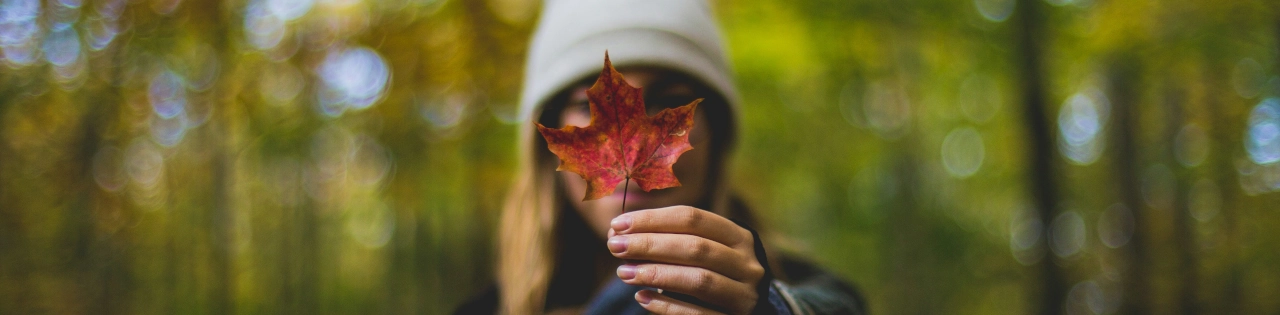 Stile Canadese: 14 Marchi di Abbigliamento Che Definiscono la Moda Etica